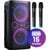 Power audio HISENSE Party Rocker One Plus Mikrofon Karaoke