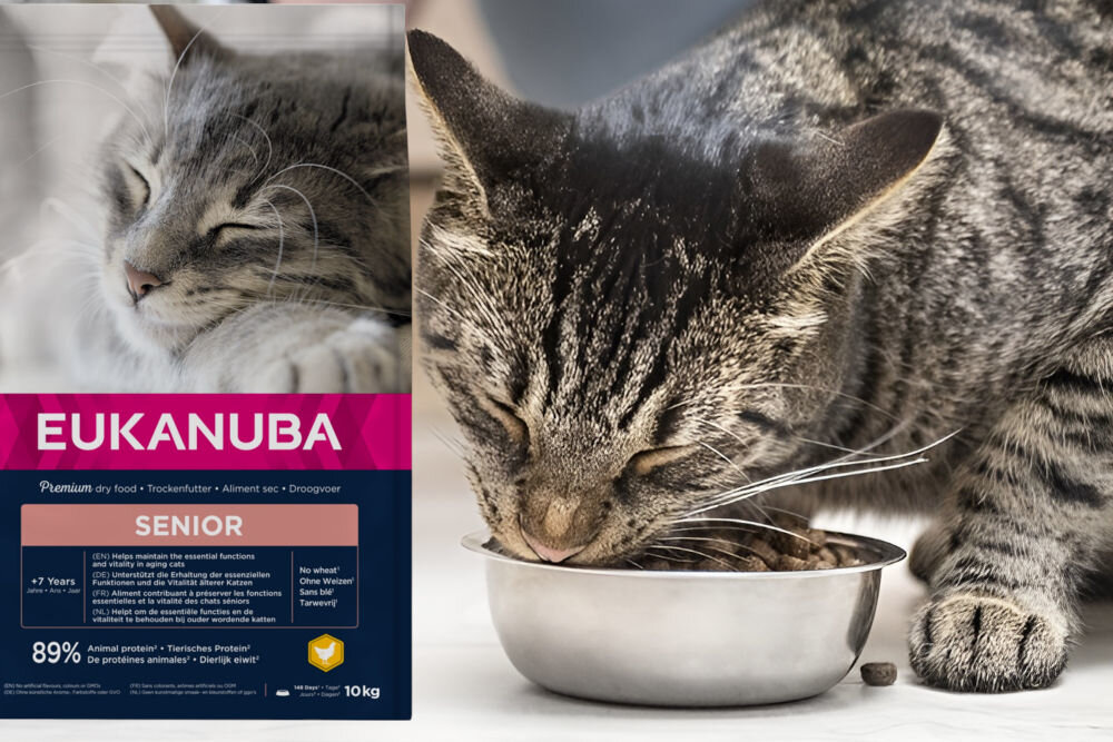 Karma dla kota EUKANUBA Dla Starszych Kotów Kurczak 10 kg dawkowanie analiza sklad