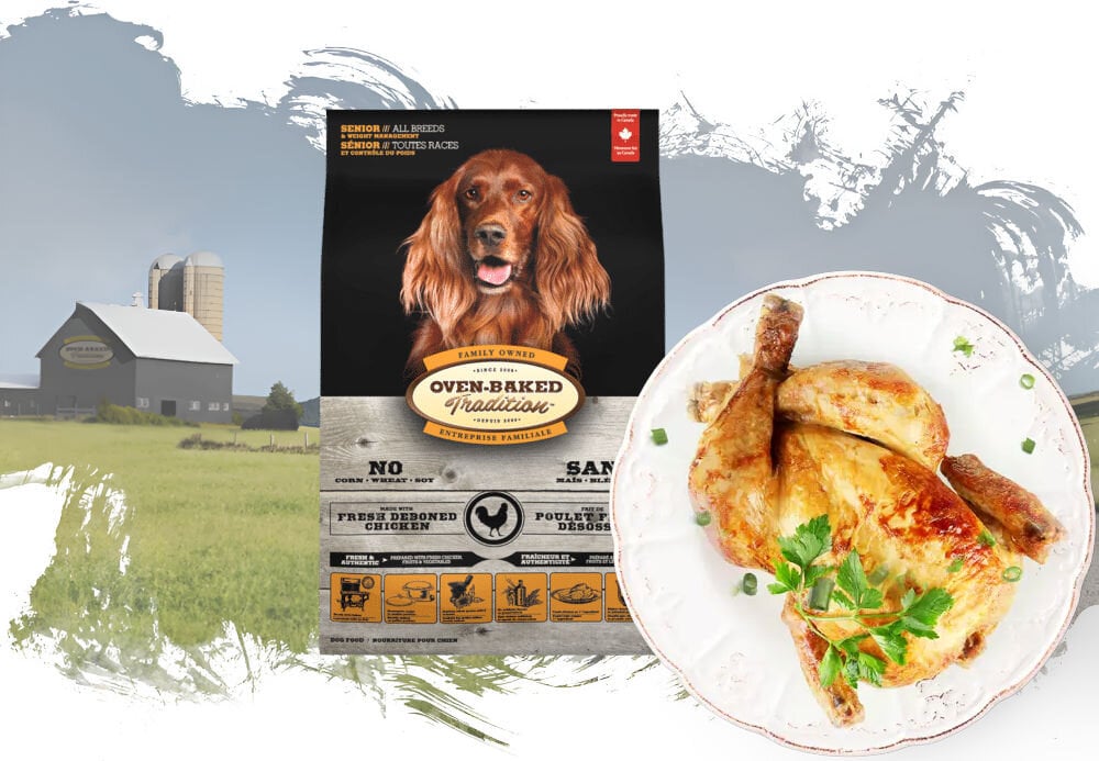 Karma dla psa OBT Dog Food Senior Kurczak 2,27 kg opakowanie karmy i talerz z rybą na tle pól z widoczna fermą w oddali